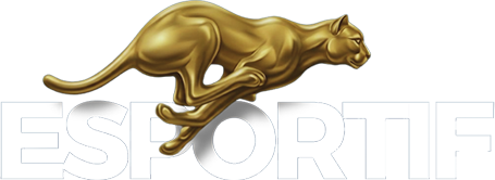 Logo Esportif